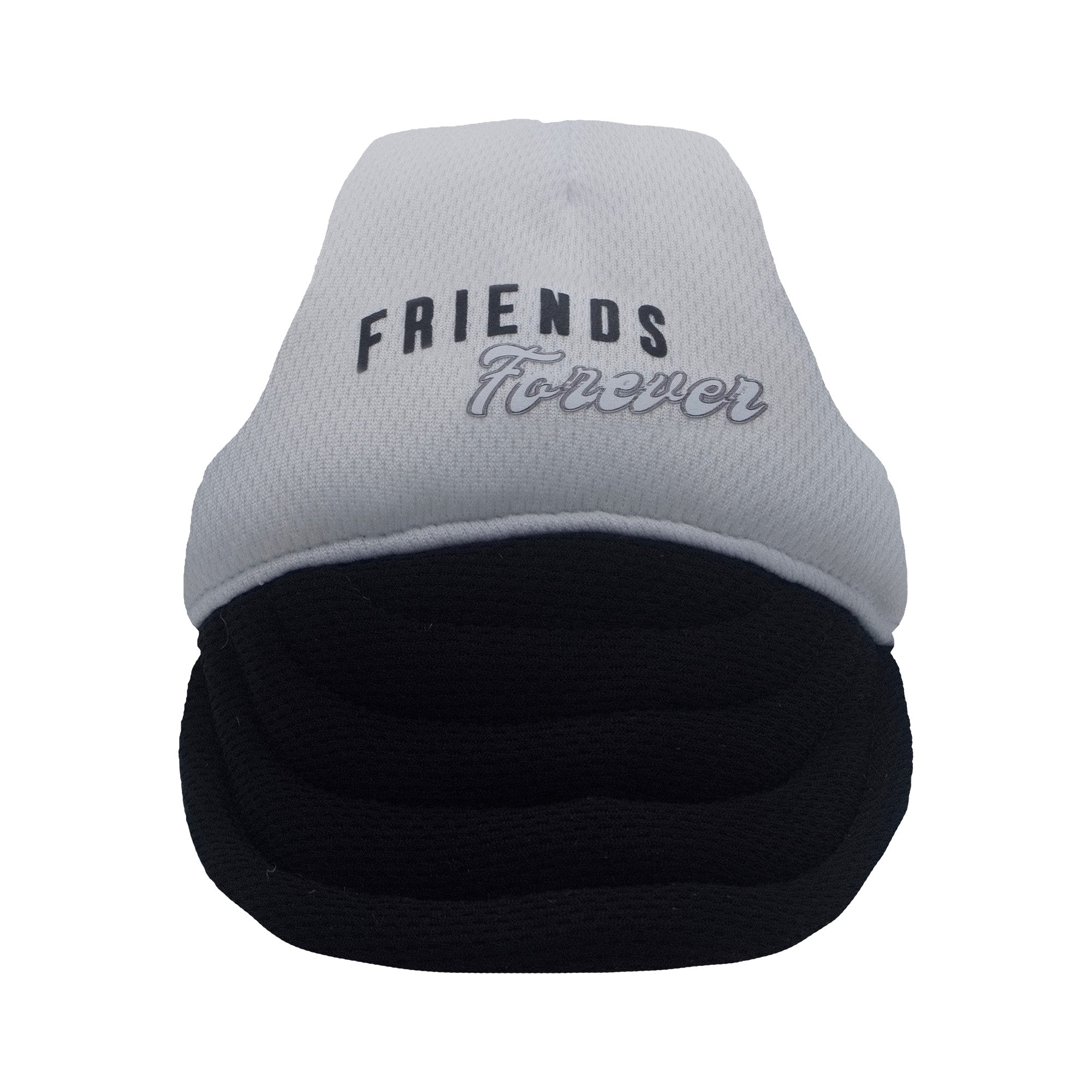 Friends Forever Dog Hat