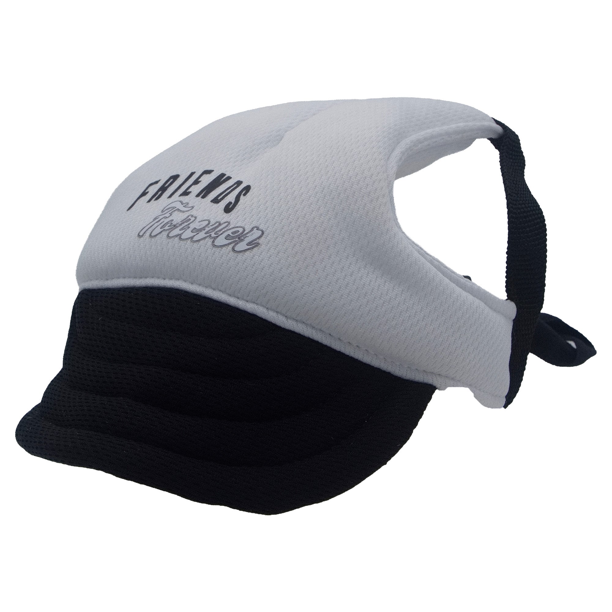 Friends Forever Dog Hat