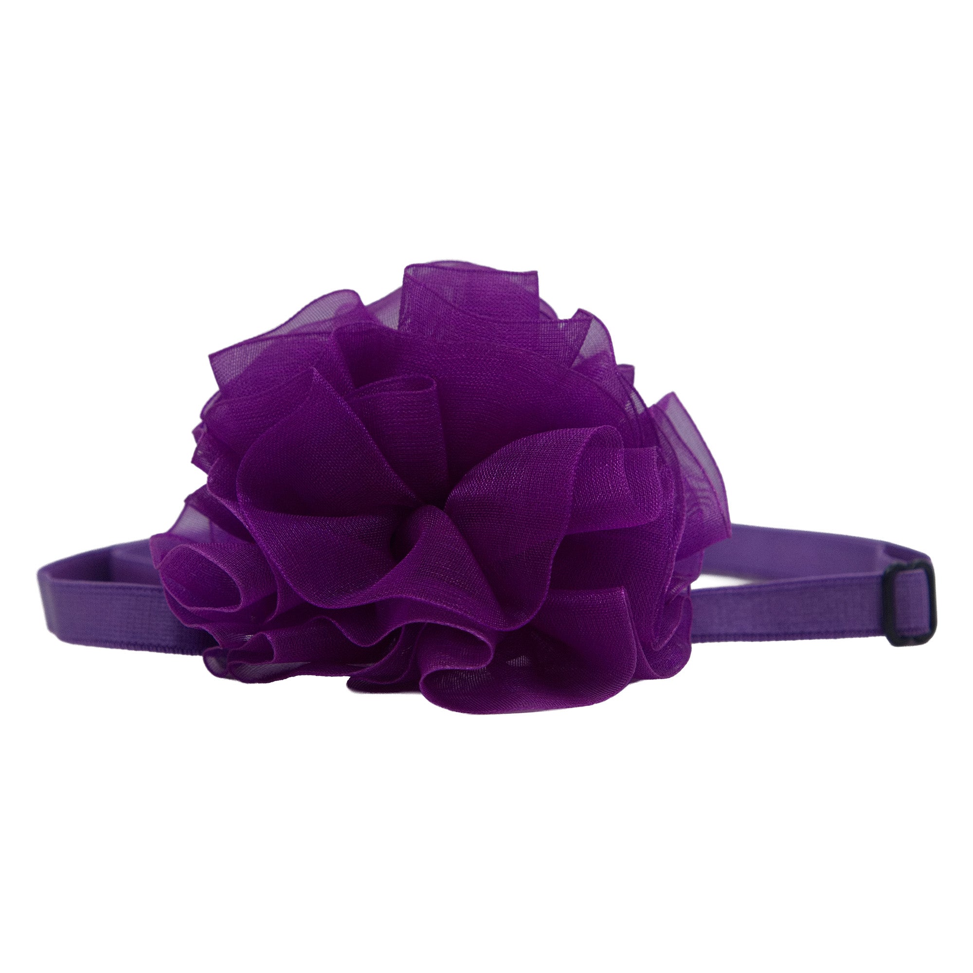 Dog Flower Bow - Violet