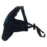 Black Florida Logo Dog Hat