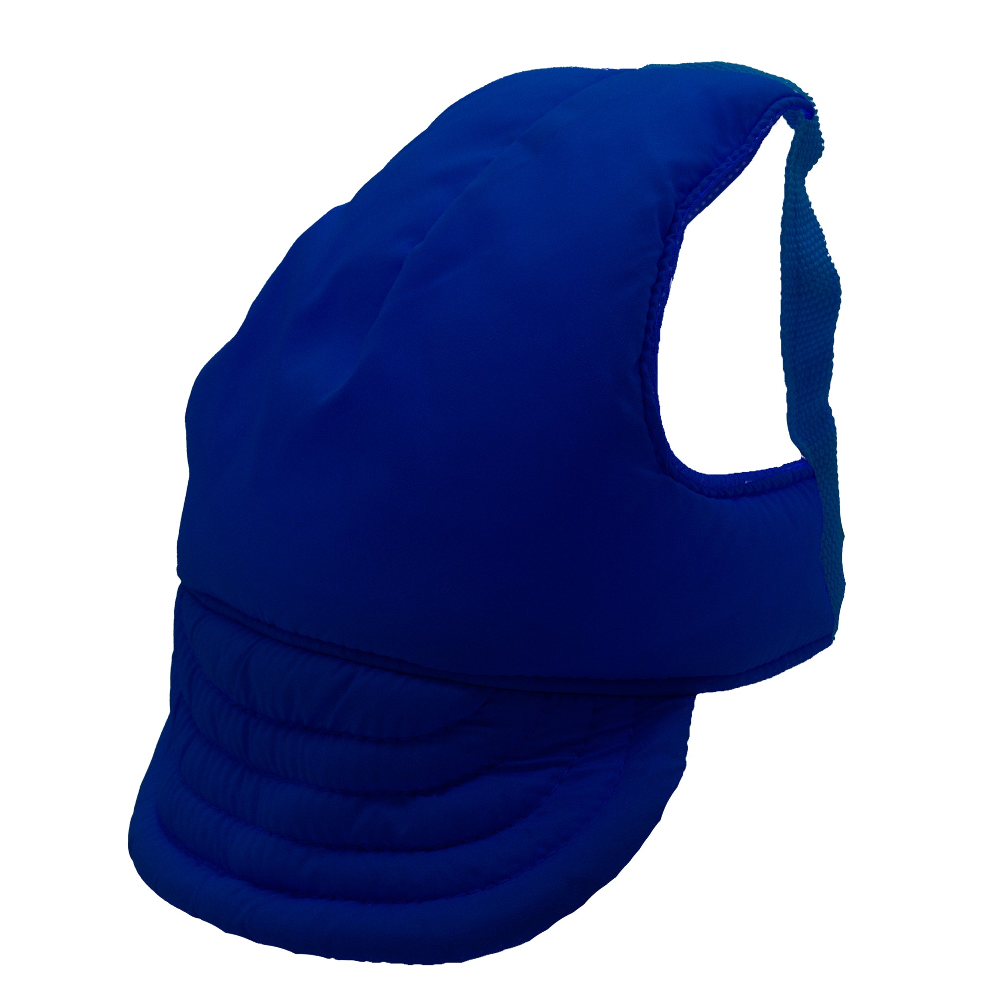 Dog Blue Waterproof Hat
