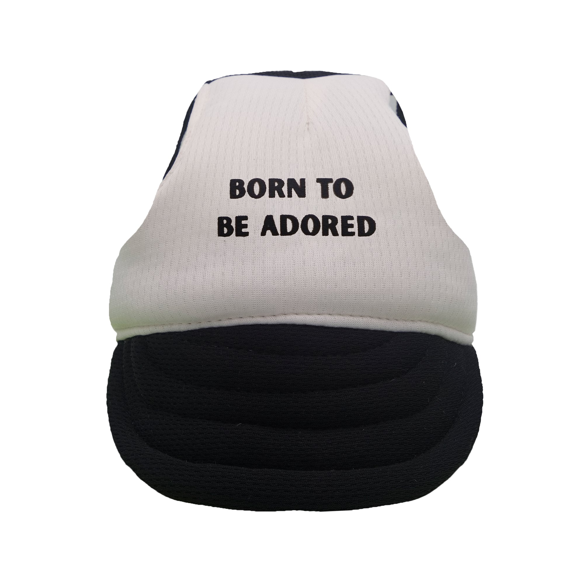 Born to Be Adored Dog Hat - Black & Beige