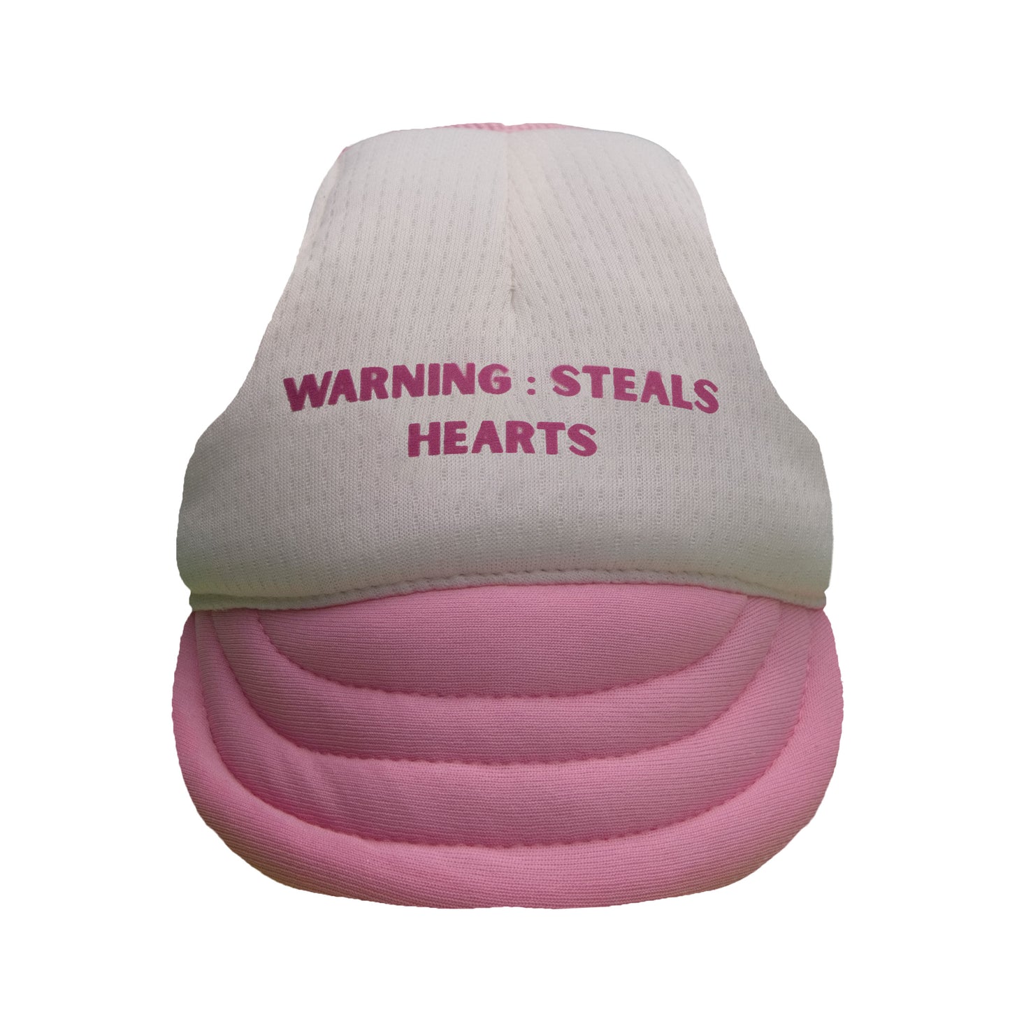 Warning: I Steal Hearts Dog Hat - Pink & Beige
