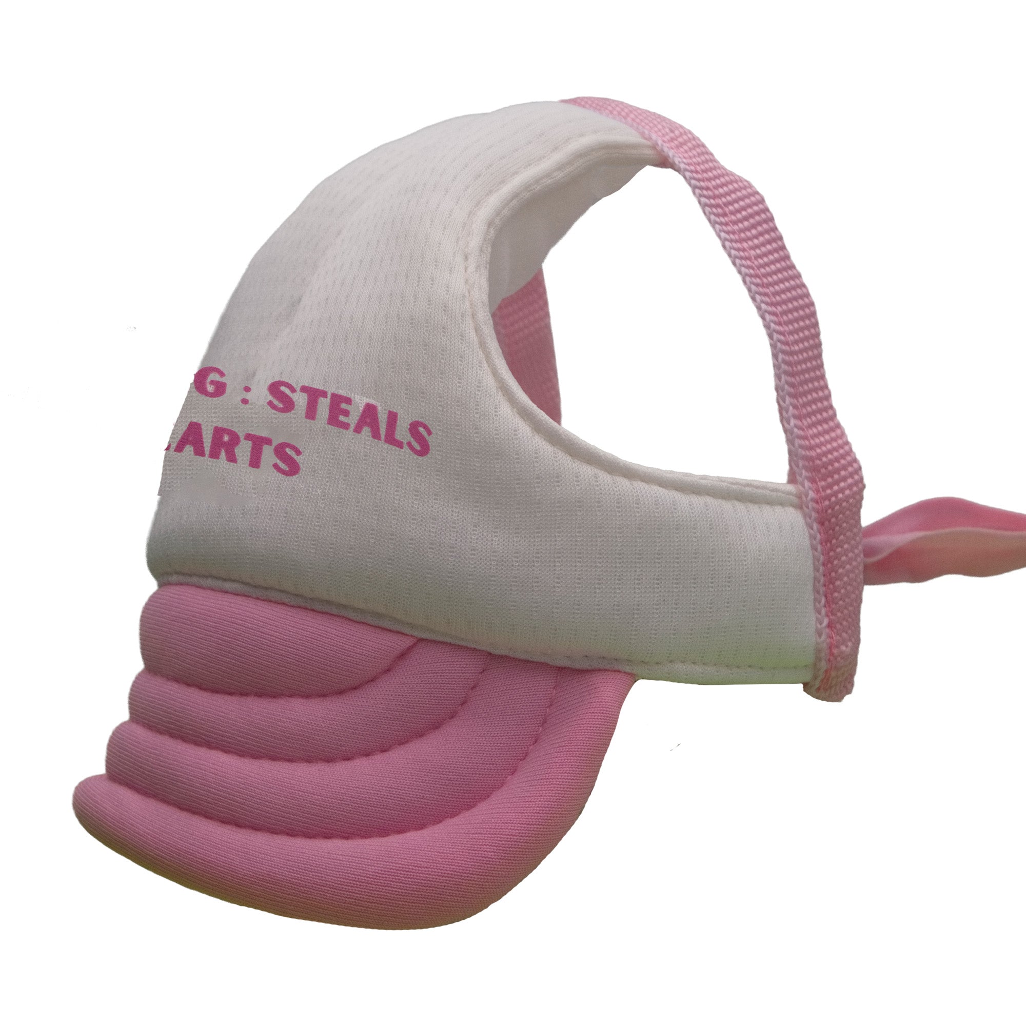 Warning: I Steal Hearts Dog Hat - Pink & Beige