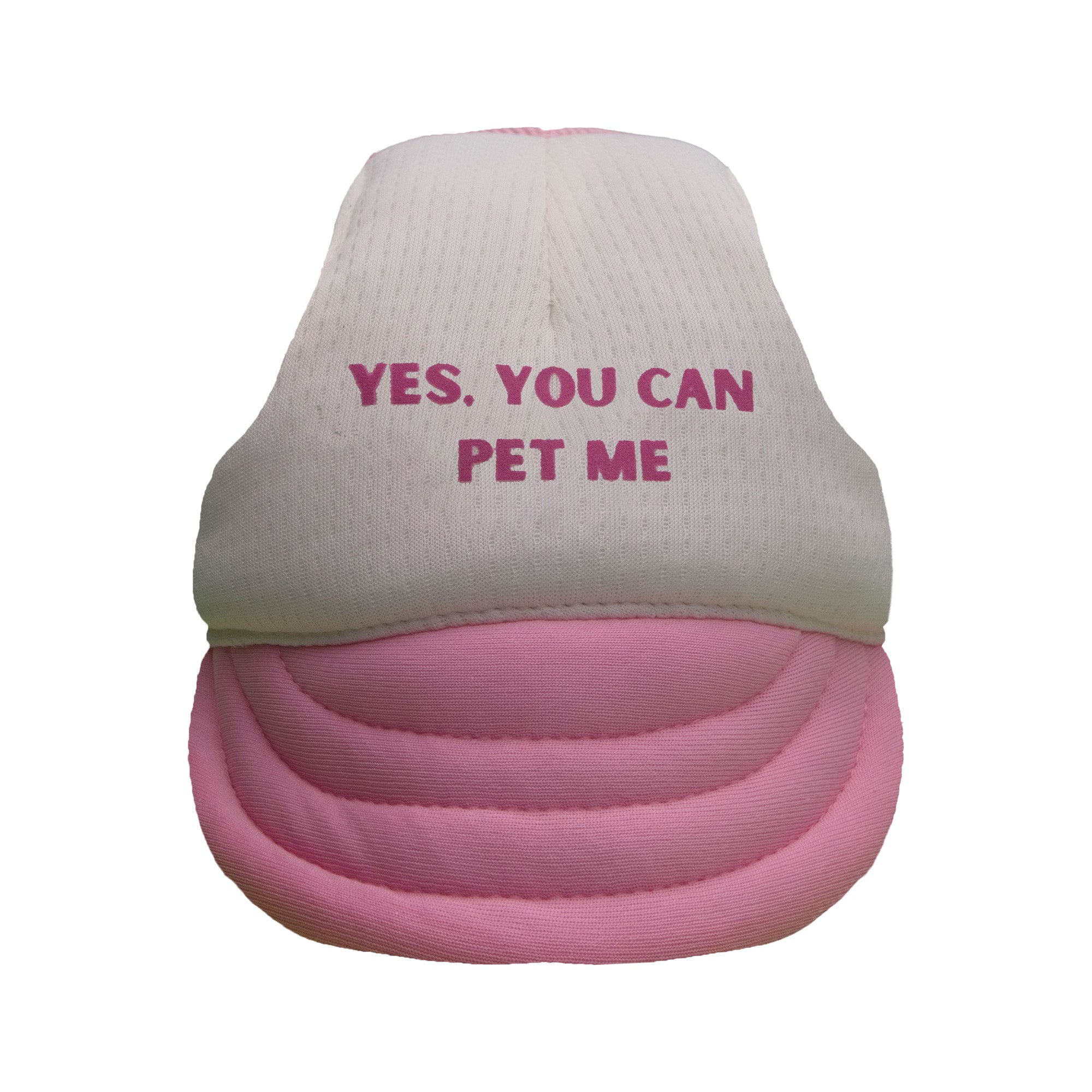 Yes, You Can Pet Me Dog Hat - Pink & Beige