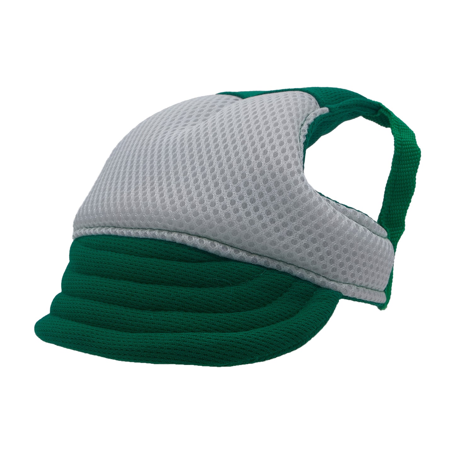 Green and White Dog Hat