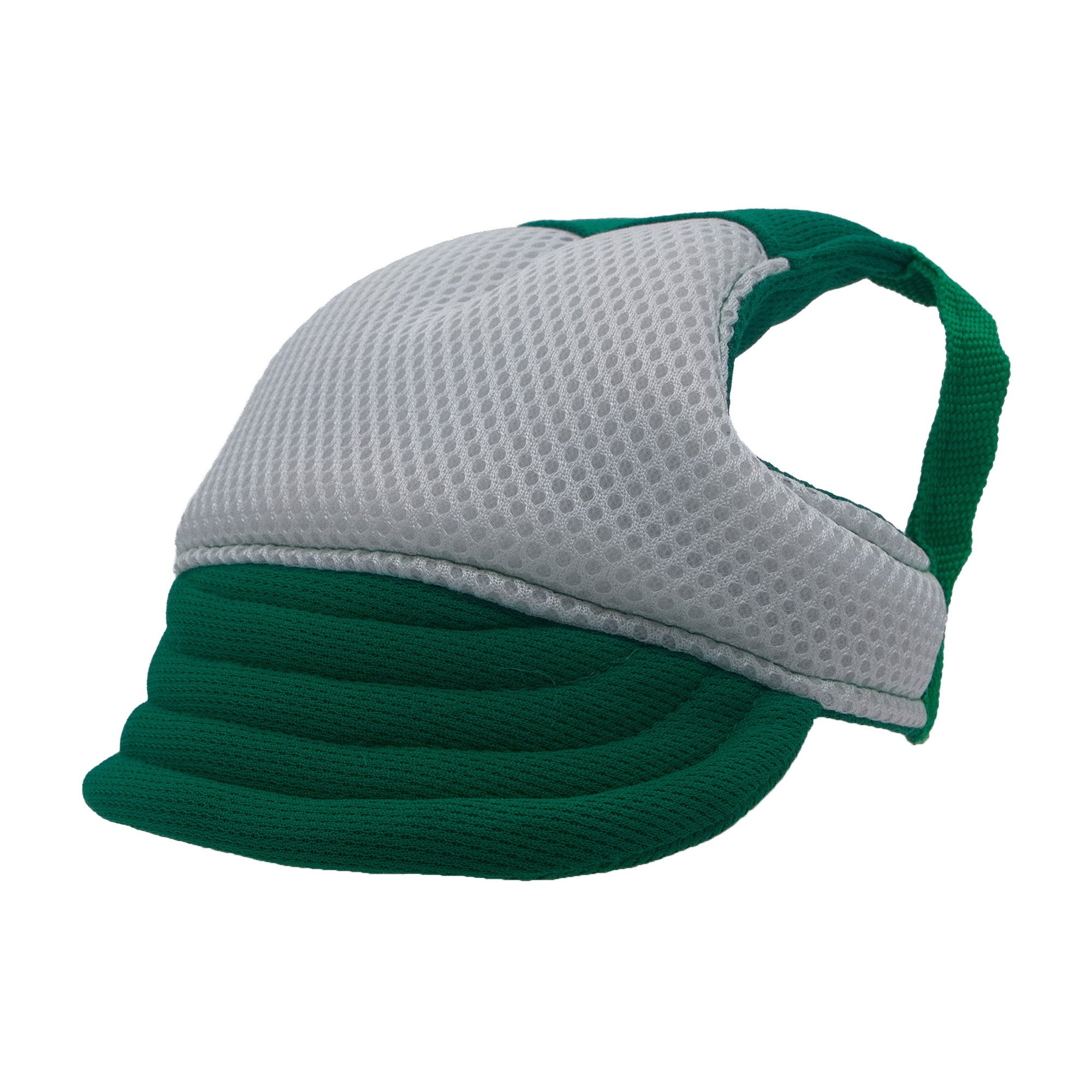 Green and White Dog Hat
