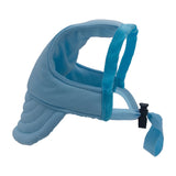 Light Blue Rainbow Flower Dog Hat