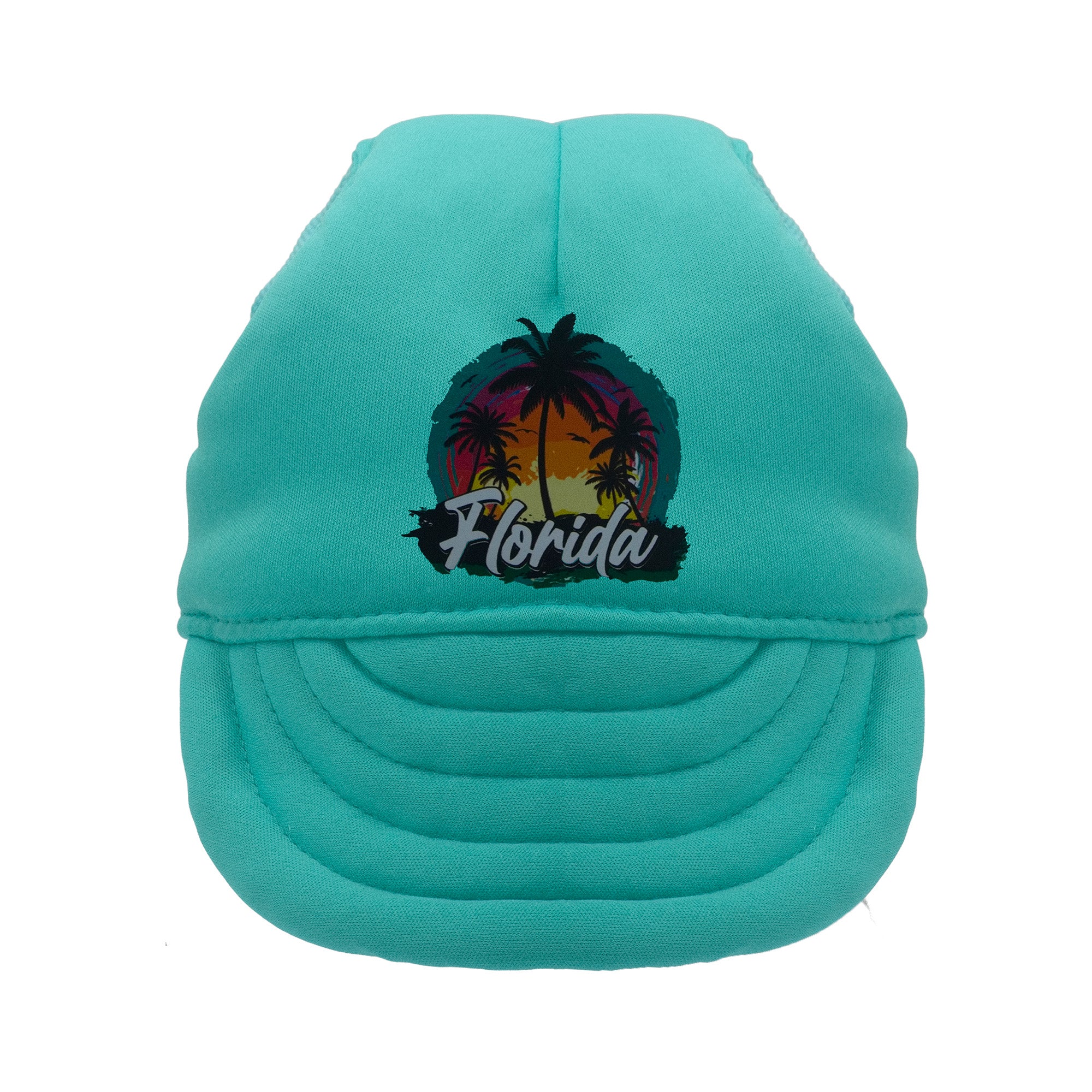 Mint Green Florida Dog Hat