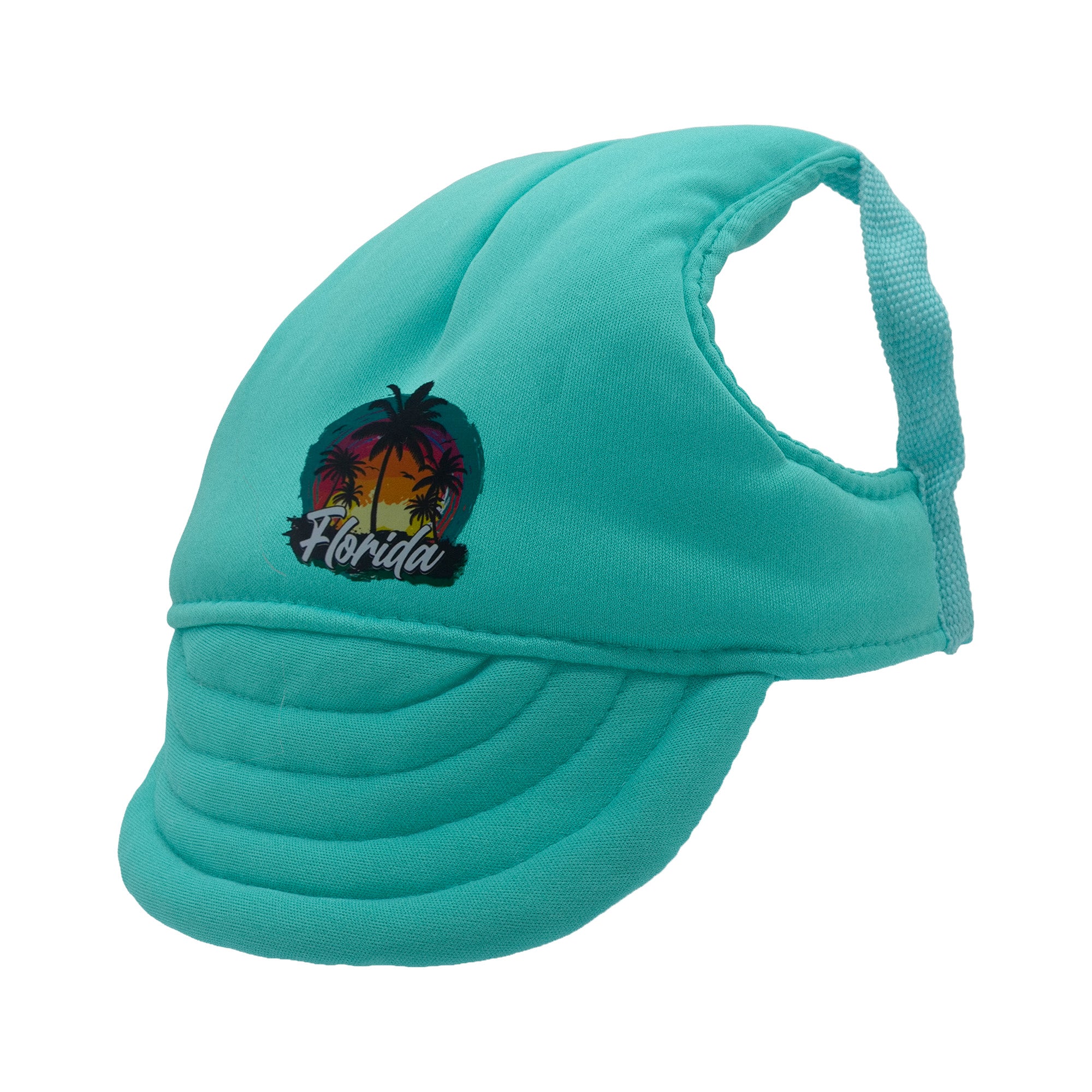 Mint Green Florida Dog Hat