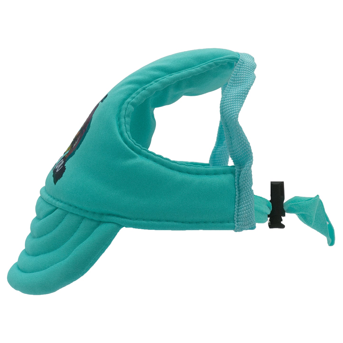 Mint Green Florida Dog Hat