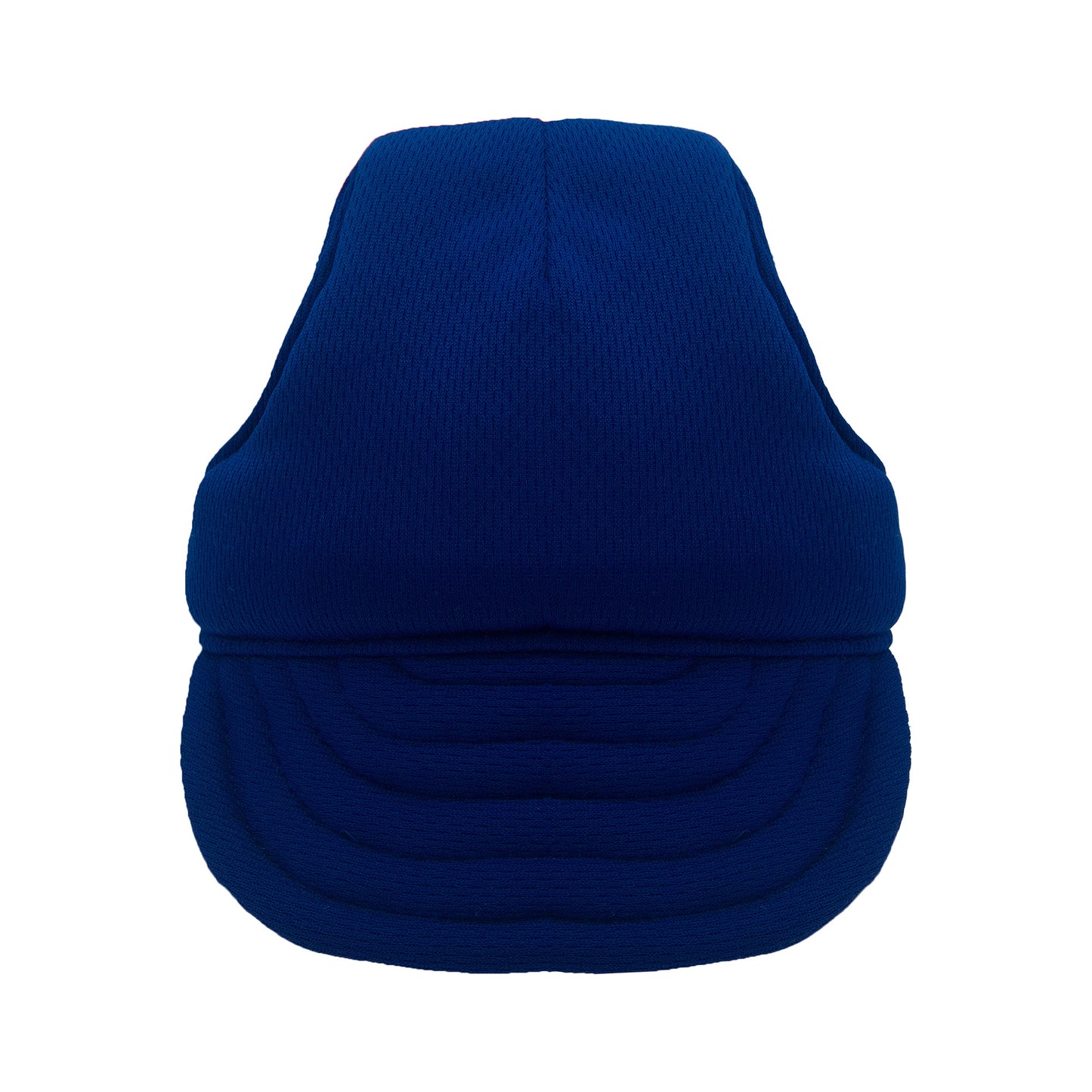 Plain Blue Dog Hat