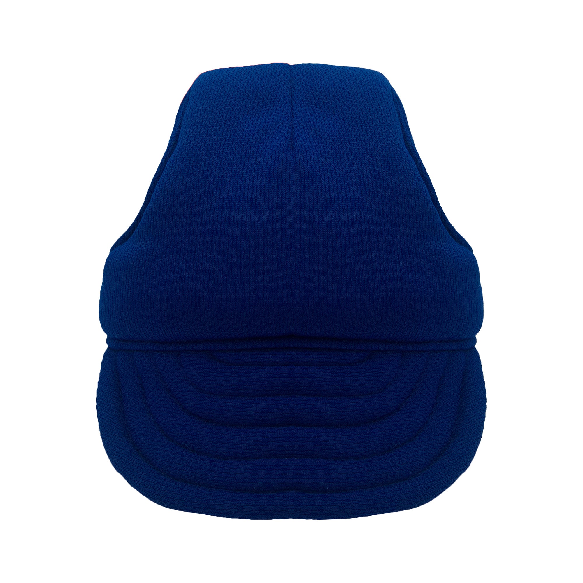 Plain Blue Dog Hat