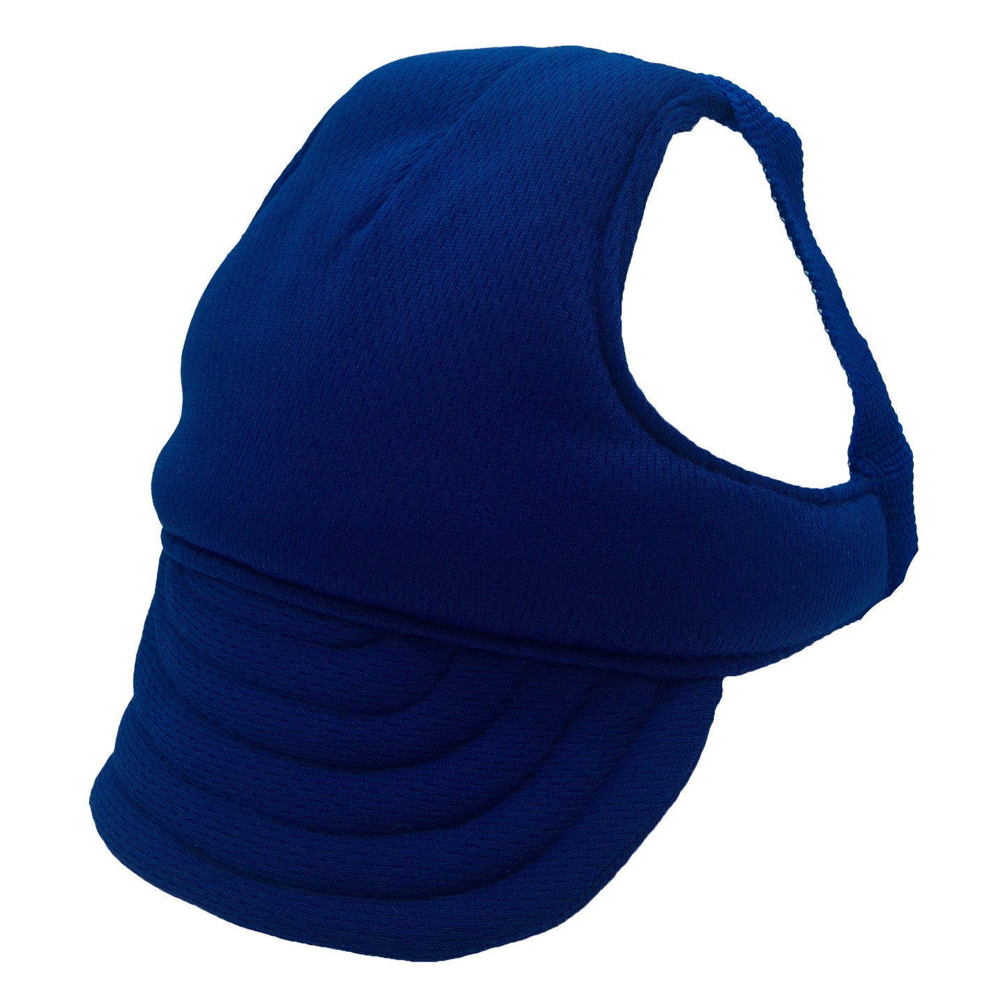 Plain Blue Dog Hat