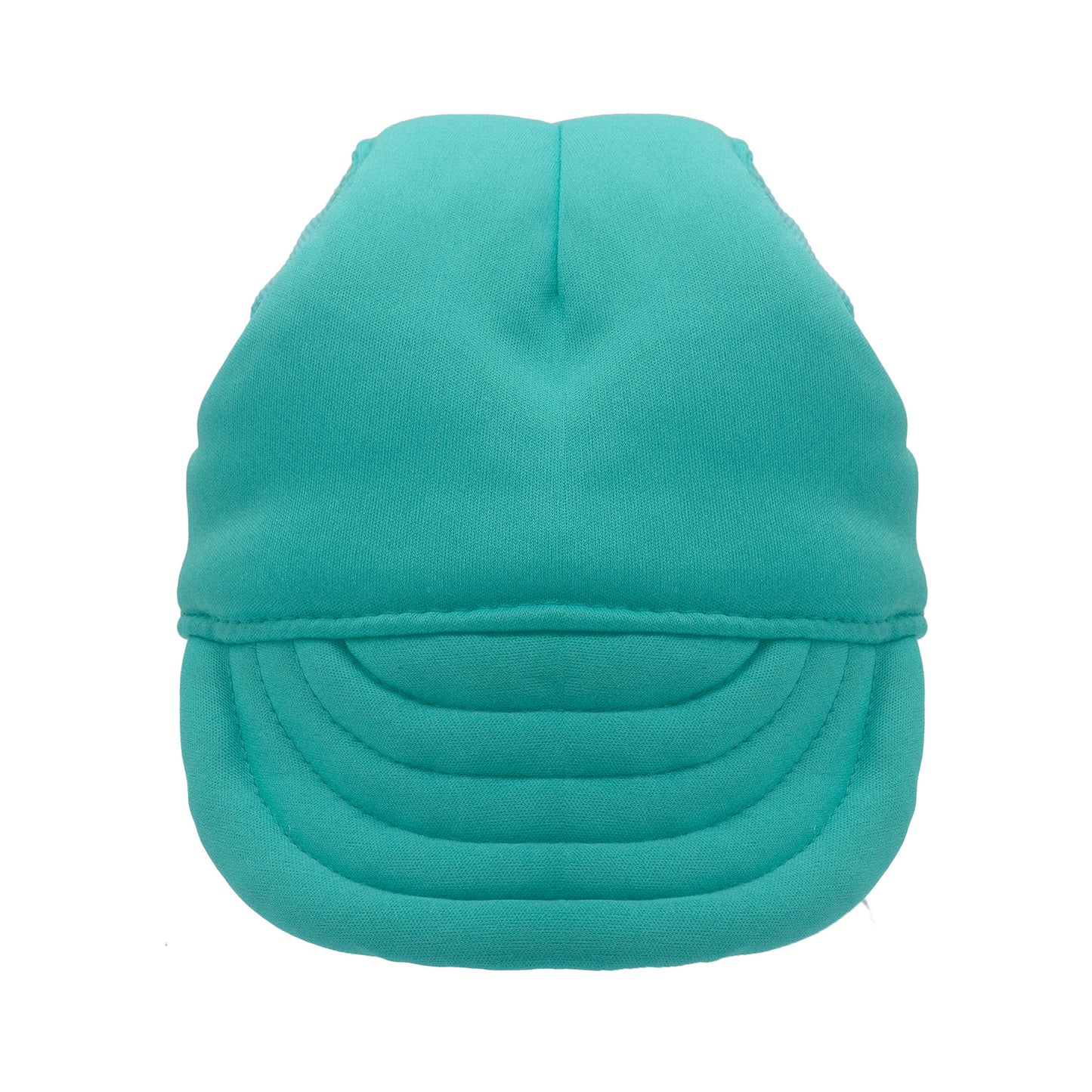 Plain Mint Green Dog Hat
