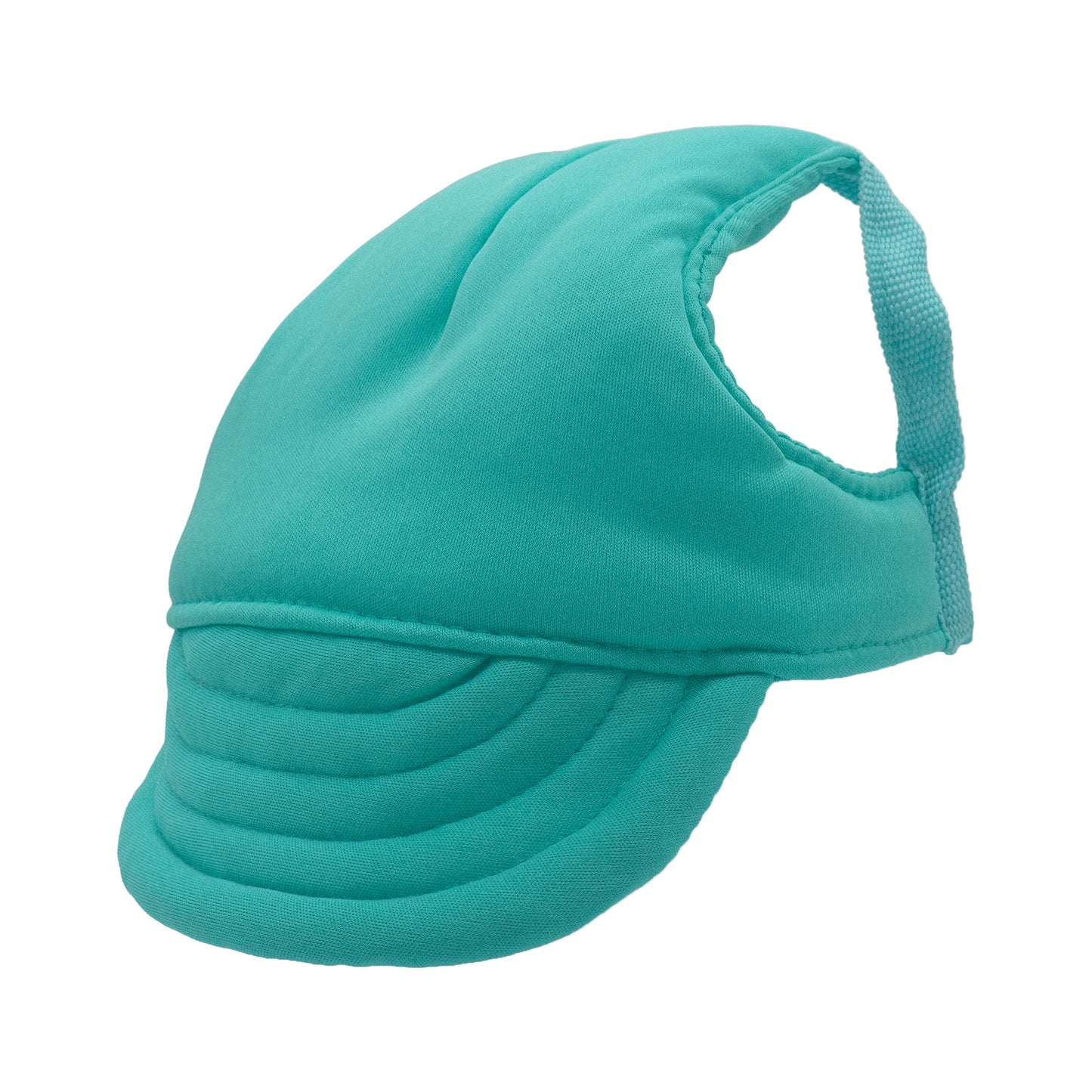 Plain Mint Green Dog Hat