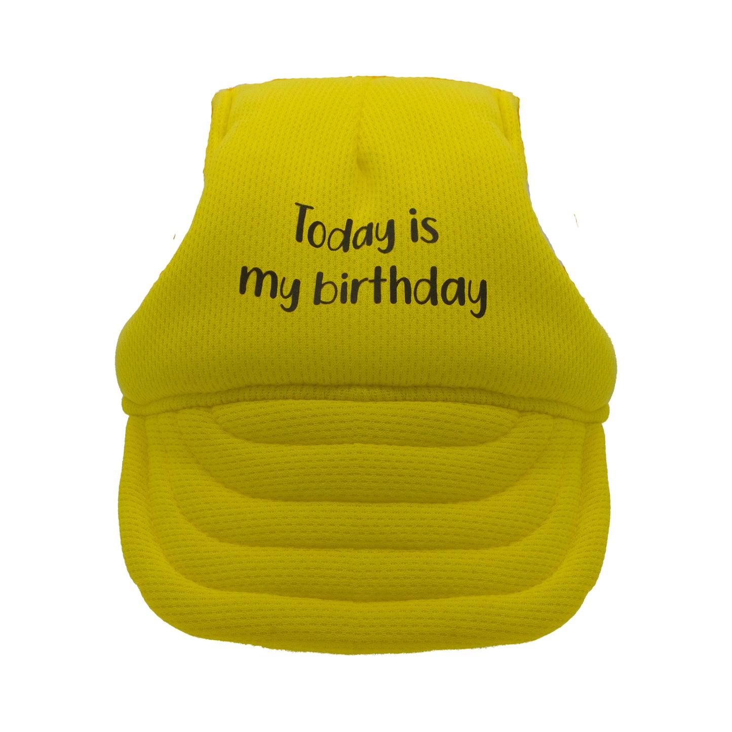 Today is My Birthday Dog Hat