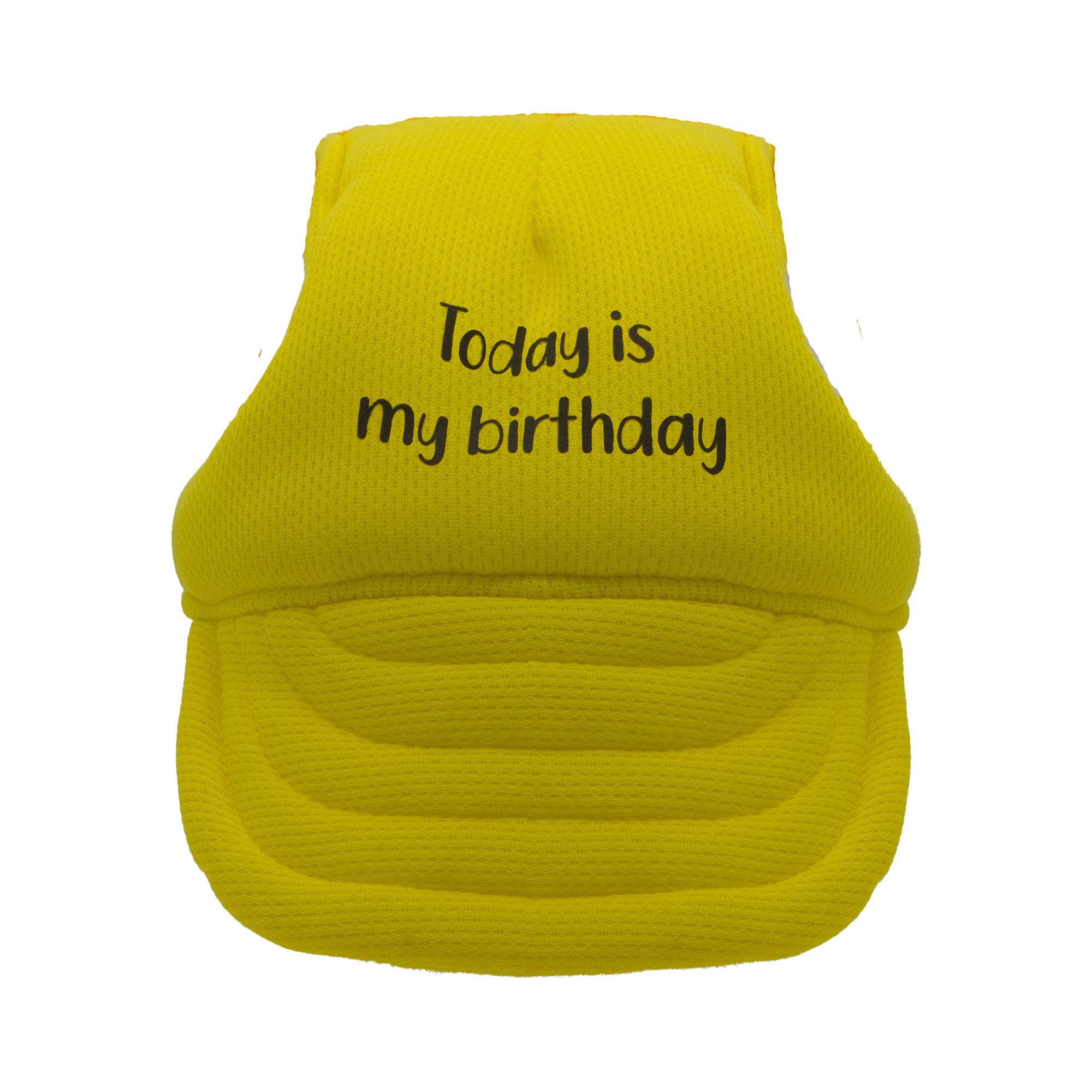 Today is My Birthday Dog Hat